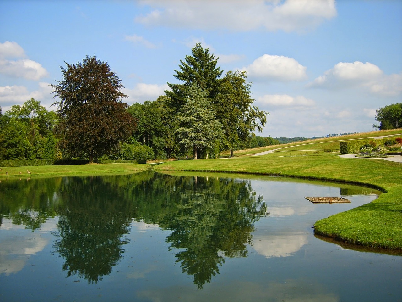 How to Install a Garden Pond in a Small Backyard